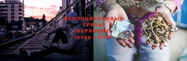 шишки Алексеевка