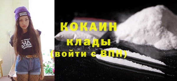 стаф Алзамай