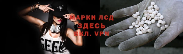 стаф Алзамай