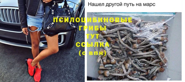 шишки Алексеевка