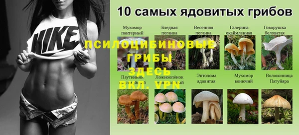 шишки Алексеевка
