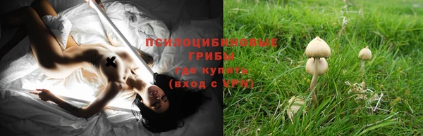 прущий лед Ельня