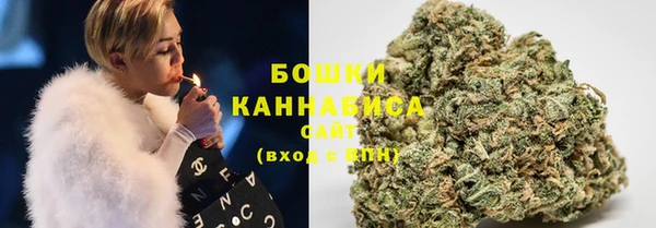 шишки Алексеевка