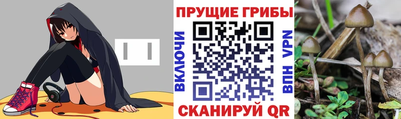 MEGA ссылки  Черепаново  Галлюциногенные грибы Cubensis  хочу наркоту 